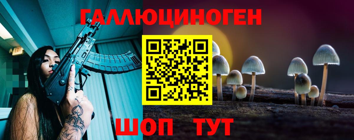 Первоуральск  Галлюциногенные грибы Cubensis  Галлюциногенные грибы мицелий  Вход с VPN 